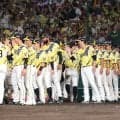 阪神、連敗止め首位タイで前半戦終える　勝負の後半戦に向け藤川監督「目指すところは1つ」