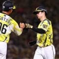 【阪神】中野拓夢、６年連続シーズン100安打に王手「ゲームに出続けている結果だと思う…」