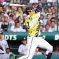 【阪神】大山悠輔、前半戦最終戦は全打席出塁　７個目の死球受けるも「勝てたのが一番です」