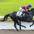 【新潟3R】コレット騎手が2Rに続く連勝…スピニンググローブが5馬身差圧勝