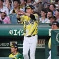 【阪神】塁審が“守備妨害”？微妙なタイミングでリクエストも判定変わらず