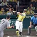 阪神　佐藤輝Ｖ２２号「頼むぞ」村上の声かけに「気合入った」９試合ぶりアーチ　史上初巨人と同率首位ターン