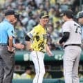 阪神・藤川監督「次が早く出てこい」新戦力の台頭　「無視、称賛、非難」野村イズムで若虎育成　巨人首位争い制するカギは「我慢」