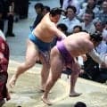 琴栄峰、自己最多１１勝＆初の三賞となる敢闘賞も反省「気持ちの面で弱さがある」