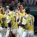 阪神・藤川監督　練習前緊急ミーティングで感謝伝える「みんなのおかげでいい位置で戦うことができている」