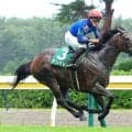 【関屋記念】不良馬場も関係なし！重賞初挑戦アンパドゥ５馬身差Ｖ　岩田望来騎手「大きなところを狙える」