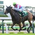クイーンSとアイビスSDの2重賞/今週の競馬界の見どころ