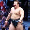 【解説】本割での反省生かし決定戦制した安青錦