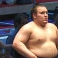 「こんな花束初めて見たわ！」安青錦に贈られた“規格外”すぎる副賞にファンもドン引き「美しき狂気」「ドデカ花束」