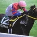 新潟千直の勝ち時計ランキングTOP5 日本一の快速スプリンターは？