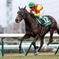【クイーンS見どころ】実績は他馬を上回るエリカエクスプレス