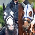 日本調教馬悲願の初制覇へ　メイショウサムソンとアドマイヤテラが出走予定　凱旋門賞のＪＲＡ海外馬券発売が決定