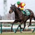 【クイーンS想定騎手】エリカエクスプレスは武豊騎手、ココナッツブラウンは北村友一騎手