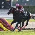 【AI予想・アイビスSD】今年は大波乱の可能性あり!? 人気薄の大駆けに警戒する人工知能の本命候補