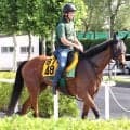 【クイーンＳ】６歳牝馬のココナッツブラウンは札幌の滞在効果大　陣営「こっちではずっとイレ込む面もない」
