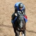 【クイーンＳ】函館記念で不利もケリフレッドアスクはタフな馬　陣営「あんまりへこたれたことがないんです」
