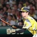 【独占手記】阪神中野拓夢が虎中軸を語る　同期・佐藤輝明の激昂に感じたことは…ともに球宴へ