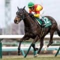 【クイーンS展望】実績馬エリカエクスプレスが久々の重賞制覇へ