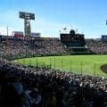 夏の甲子園、出場全49校が決定　連覇狙う沖縄尚学、剛腕・織田擁する横浜…初出場は4校