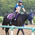 キングジョージ７着のマスカレードボールの手塚久調教師が“アウェーの厳しさ”を語る　「壁は高いですね」
