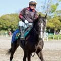 【ＰＯＧ】初戦で悔し涙のタクミオジュウの２戦目は札幌を予定　障害絶対王者オジュウチョウサンの初年度産駒