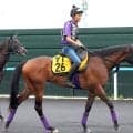 【クイーンＳ】２億円馬の良血フレミングフープは攻めの仕上げで大駆け狙う　陣営「滞在はいいのかもしれません」