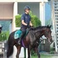 【今週のトク注新馬】キズナ産駒の２億円馬ホウオウモノポリーが初陣　友道調教師も舌巻く優等生ぶり「お利口さん」