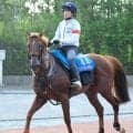 【アイビスＳＤ】古豪の９歳馬ウイングレイテスト“三度目の正直”へ虎視たんたん　畠山調教師「夏に弱くはない」