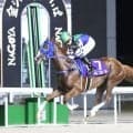 【名古屋・名港盃結果】ベントが逃げ切って重賞連勝を飾る