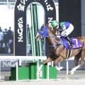 【名古屋競馬】ベントが逃げ切って重賞連勝　名港盃を制覇