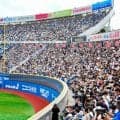 激闘の神奈川大会　横浜が盤石の連覇　172チームの熱戦を振り返る