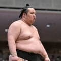 【大相撲】中学横綱の吉井改め時不動が新十両昇進　静岡出身では熱海富士以来