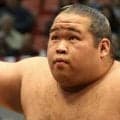 生田目が再十両　７場所ぶりに関取返り咲き　新十両は丹治と時不動