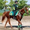 【注目馬動向】フライトライン産駒として世界初勝利を挙げたデミアン　「跳びが大きいので」サウジアラビアロイヤルＣへ　斎藤誠調教師が明かす