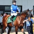 【注目馬動向】札幌記念目標のファウストラーゼンが左前浅屈腱炎を発症　小林美駒騎手とのコンビで函館記念制覇