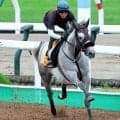 【クイーンＳ】２年ぶりＶ狙うコガネノソラは丹内祐次騎手騎乗で落ち着いた走り「精神的にすごく大人になりましたね」