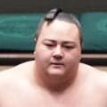 丹治と時不動が新十両に昇進、生田目は再十両　秋場所番付編成会議