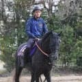 【注目馬動向】日本ダービー回避のゾロアストロ　新潟記念の鞍上は引き続き岩田望来騎手