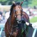 【エルムＳ・１週前】前走４馬身差圧勝のテーオーパスワード　高柳大調教師「エルムＳの走りを見て、今後を絞っていきたい」