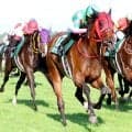 またまたＧ１馬が新潟記念にエントリー！相次ぐ有力馬の参戦に「札幌記念より豪華？」「数年後にはＧ２に」