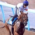 【アイビスＳＤ】９歳馬ウイングレイテストがラスト１０秒５の超抜時計　松岡正海騎手「最後にビシッと」