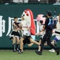 【球宴】「球宴すしレース第２戦」開催　富山名物エビか、伏兵の躍進か　勝負の行方はいかに!?