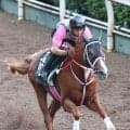 【レパードＳ・１週前】ダート転向後２戦圧勝のショウナンバンライは余力十分　松下調教師「競馬が上手です」
