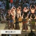 「柄がわからん」「異色すぎる」大相撲名古屋場所で話題 力士たちの個性的な化粧まわし