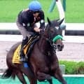 【クイーンＳ】函館発札幌行エリカエクスプレス　武豊“運転士”でＧＯ