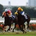 名牝トゥザヴィクトリーが待望の重賞初制覇 00年クイーンSを回想