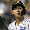 阪神　藤川監督不在も２日連続で鉄のカーテン　３１日からの後半戦開幕へ準備　２９日のノックでは高寺と福島が右翼、立石が三塁の新オプションを模索