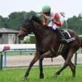 【クイーンS出走馬・騎手確定】ココナッツブラウン＆北村友一騎手、エリカエクスプレス＆武豊騎手など14頭