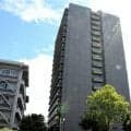 広島カープ矢野、前川両選手の居宅などを広島県警が捜索　球団発表