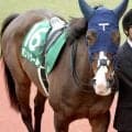 【クイーンS】「1勝馬の賞金王」ボンドガール 今度こそ重賞初制覇なるか